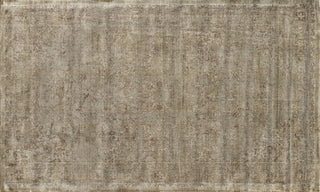 Loloi Nyla NY-05 Taupe Area Rug aerial 3-3 x 5-3
