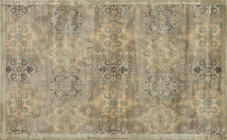 Loloi Nyla NY-09 Taupe / Gold Area Rug aerial 3-3 x 5-3