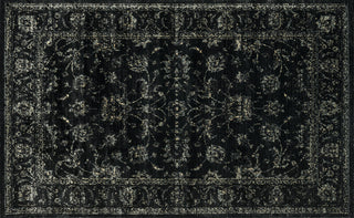Loloi Nyla NY-14 Black Area Rug aerial 3-3 x 5-3