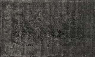 Loloi Nyla NY-22 Iron Area Rug aerial 3-3 x 5-3