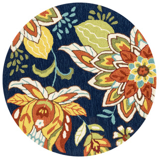 Loloi Francesca FC-34 Blue / Floral Area Rug aerial 3 x 3 round