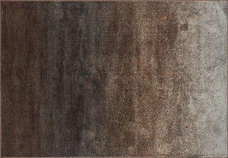 Loloi Elton EO-04 Granite Area Rug aerial 5-2 x 7-7