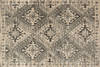 Loloi Izmir IZ-02 Grey / Beige Area Rug aerial 5-3 x 7-6