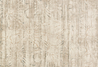 Loloi Kingston KT-03 Neutral Area Rug aerial 5-3 x 7-6