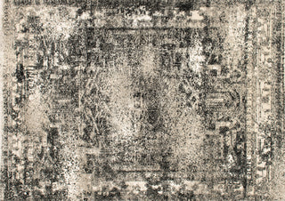 Loloi Viera VR-03 Ash Area Rug aerial 5-3 x 7-7