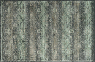 Loloi Nyla NY-11 Charcoal Area Rug aerial 5 x 7-6