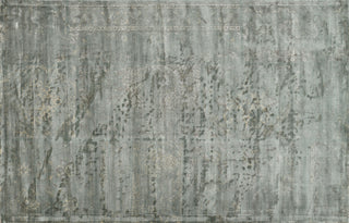 Loloi Nyla NY-13 Mist Area Rug aerial 5 x 7-6