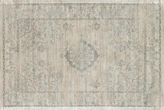 Loloi Nyla NY-15 Beige / Blue Area Rug aerial 5 x 7-6