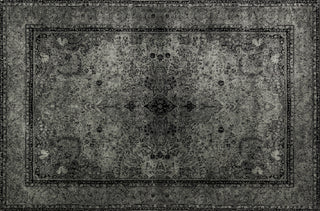 Loloi Nyla NY-26 Silver Area Rug aerial 5 x 7-6