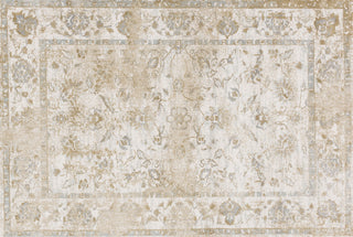 Loloi Torrance TC-07 Ivory Area Rug Alternate Image