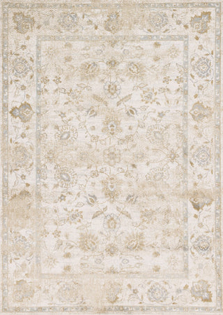 Loloi Torrance TC-07 Ivory Area Rug aerial 6-7 x 9-2