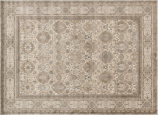 Loloi Century CQ-05 Sand / Taupe Area Rug aerial 7-10 x 10-6