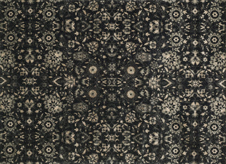 Loloi Journey JO-09 Black / Silver Area Rug aerial 7-6 x 10-5