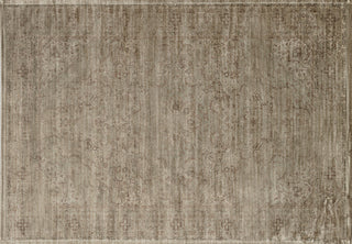Loloi Nyla NY-05 Taupe Area Rug aerial 7-6 x 10-5