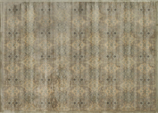 Loloi Nyla NY-09 Taupe / Gold Area Rug aerial 7-6 x 10-5