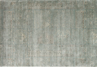 Loloi Nyla NY-13 Mist Area Rug aerial 7-6 x 10-5