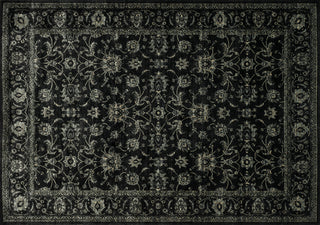 Loloi Nyla NY-14 Black Area Rug aerial 7-6 x 10-5
