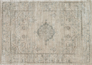 Loloi Nyla NY-15 Beige / Blue Area Rug aerial 7-6 x 10-5