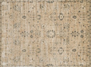 Loloi Nyla NY-24 Sand / Charcoal Area Rug aerial 7-6 x 10-5