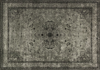 Loloi Nyla NY-26 Silver Area Rug aerial 7-6 x 10-5