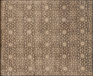Loloi Essex EQ-04 Elmwood Area Rug aerial 7-9 x 9-9