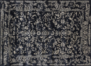 Loloi Florence FO-01 Black / Ivory Area Rug aerial 8 x 10