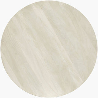 Surya Agnes AGNE-005 White / Furniture Main Image