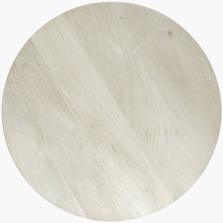 Surya Agnes AGNE-006 White / Furniture Main Image