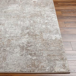 Livabliss Allegro plus AGP-2302 Area Rug Angle