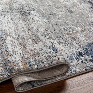 Livabliss Allegro plus AGP-2303 Area Rug Pile