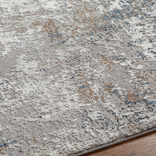 Livabliss Allegro plus AGP-2303 Area Rug Detail