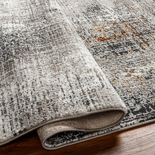 Livabliss Allegro plus AGP-2305 Area Rug Pile