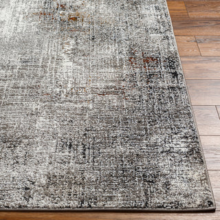 Livabliss Allegro plus AGP-2305 Area Rug Angle