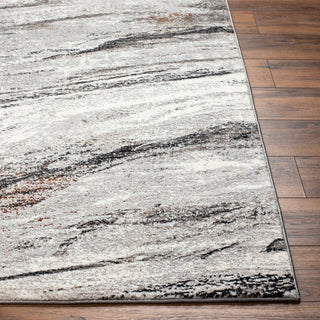 Livabliss Allegro Plus AGP-2307 Area Rug Angle