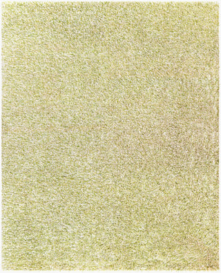Surya Anaheim AHM-2303 Area Rug Main