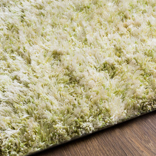 Surya Anaheim AHM-2303 Area Rug Detail