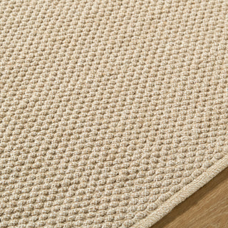 Surya Ahlat AHT-2305 Area Rug Detail
