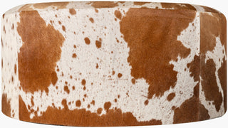 Surya Abilene AIB-001 Brown Furniture Angle