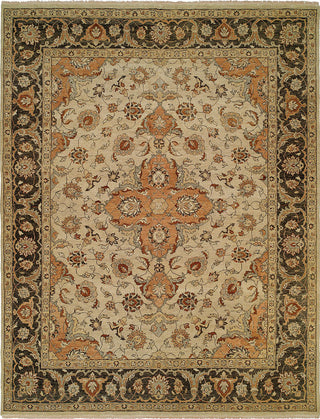 Ancient Boundaries Aimee AIM-635 Brown Area Rug Main Image