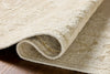 Loloi Alara ALR-01 Ivory / Natural Area Rug Pile Image