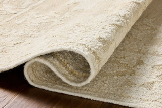 Loloi Alara ALR-01 Ivory / Natural Area Rug Pile Image