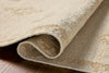 Loloi Alara ALR-02 Ivory / Natural Area Rug Pile Image