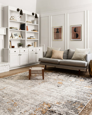 Loloi Alchemy ALC-02 Granite/Gold Area Rug Lifestyle Image Feature