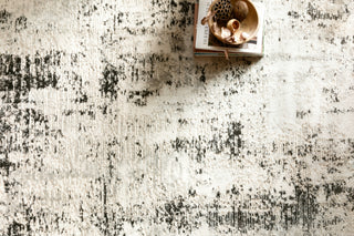 Loloi Alchemy ALC-04 Silver/Graphite Area Rug Lifestyle Image Feature