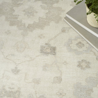 Nourison Aldora ALD14 Ivory/Grey Area Rug by Reserve Collection