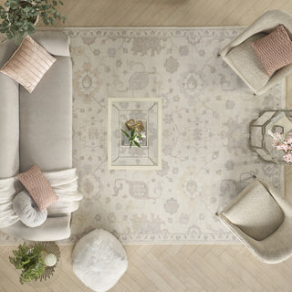 Nourison Aldora ALD14 Ivory/Grey Area Rug by Reserve Collection