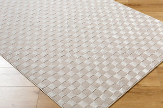 Livabliss Alder ALD-2321 Taupe Machine Washable Area Rug Angle