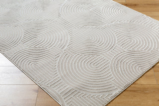 Livabliss Alder ALD-2324 Taupe Machine Washable Area Rug Angle