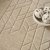 Nourison Alessia ALE01 Beige Area Rug by Reserve Collection