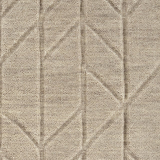 Nourison Alessia ALE01 Beige Area Rug by Reserve Collection